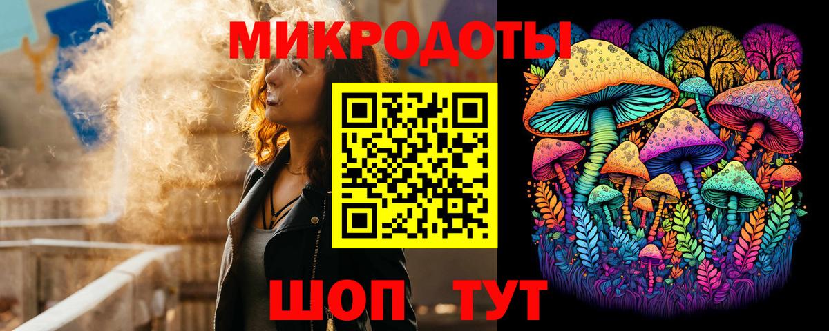 Псилоцибиновые грибы Psilocybine cubensis Малгобек